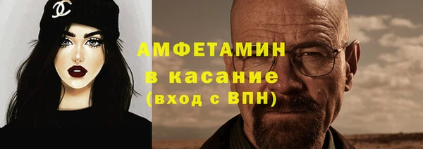 шишки Медногорск