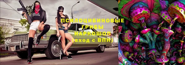 ГАЛЛЮЦИНОГЕННЫЕ ГРИБЫ Абдулино