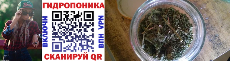 Бошки Шишки AK-47  darknet наркотические препараты  Лесозаводск  купить наркотик 